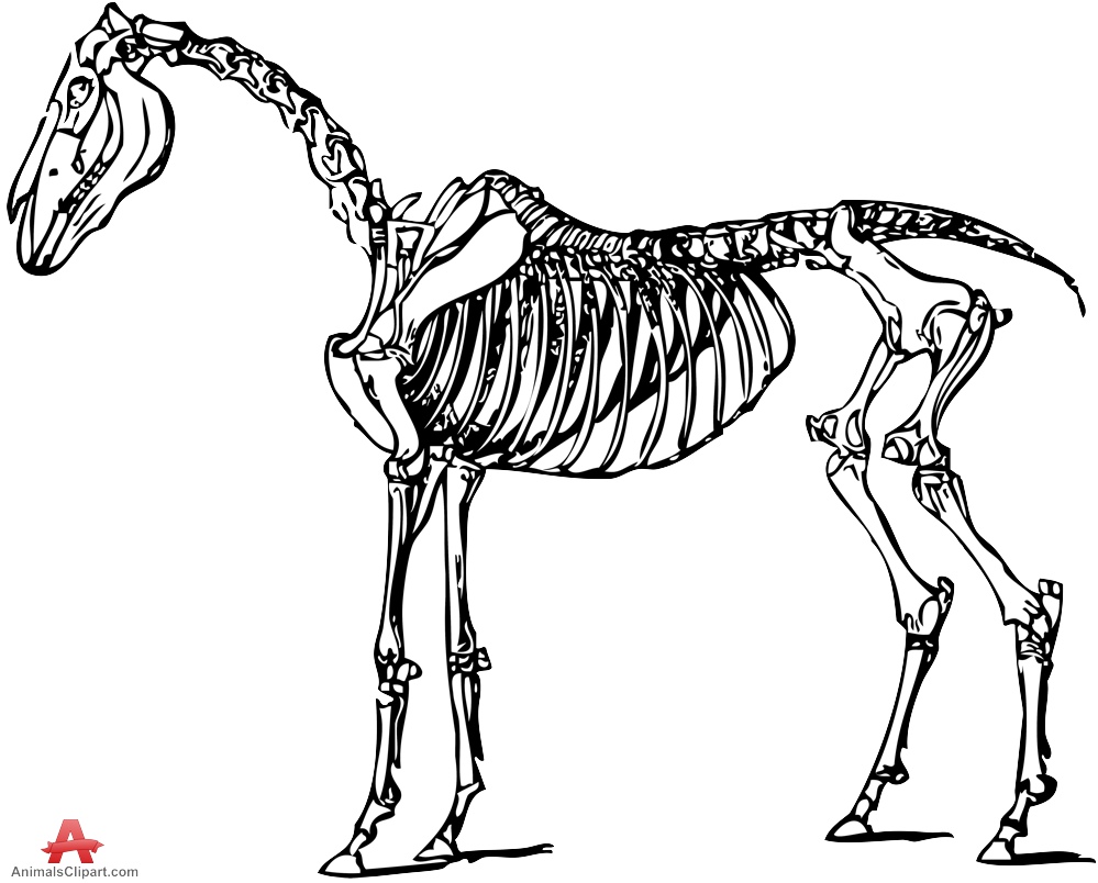 Free Dog Skeleton Cliparts, Download Free Clip Art, Free.