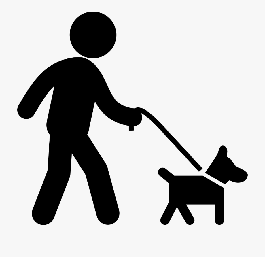 Dog With Belt Walking With A Man Comments.