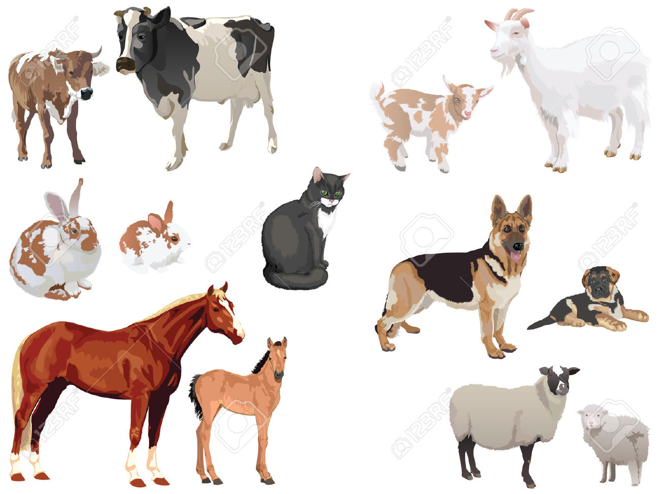 Clipart Set Of Domestic Animals With Cubs Royalty Free Cliparts.