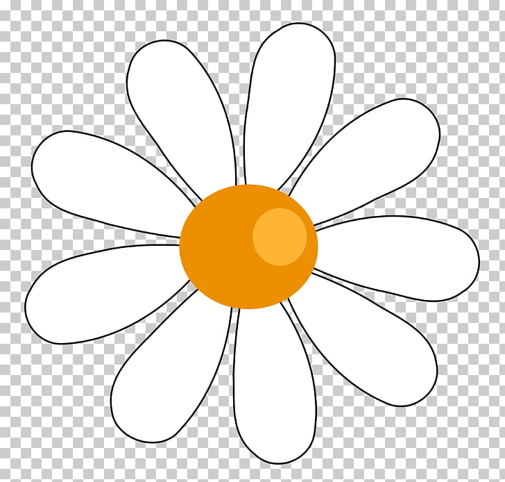 Free content Common daisy , Cute Daisy s PNG clipart.