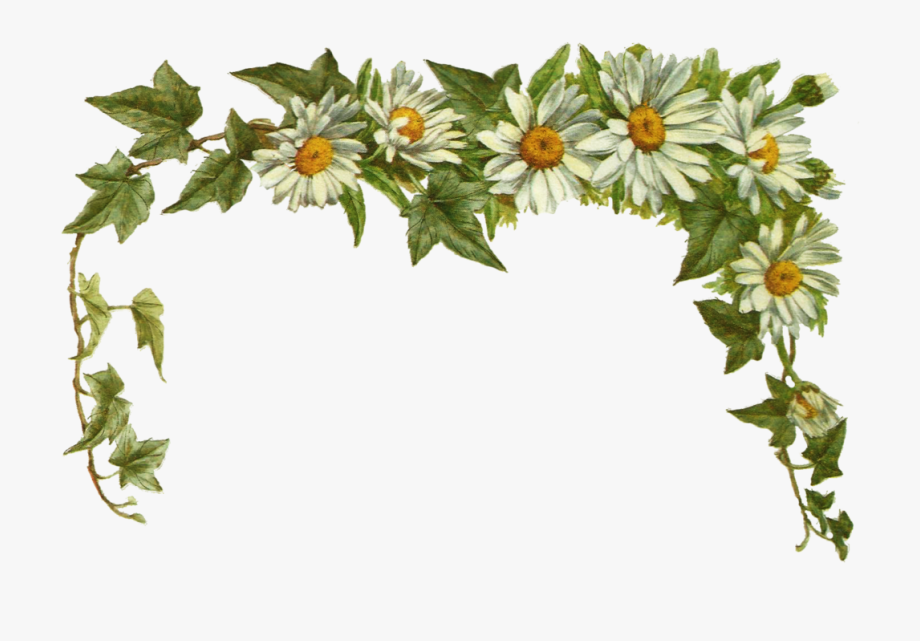 Jinifur Daisy Layer By Jinifur On Clipart Library.