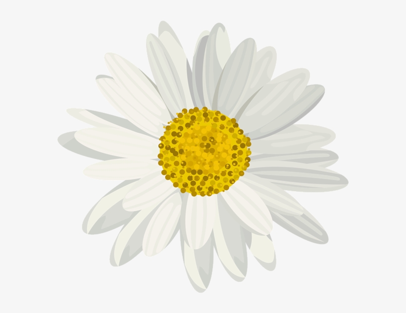 Art Images, Daisy, Clip Art, Art Pictures, Daisies,.