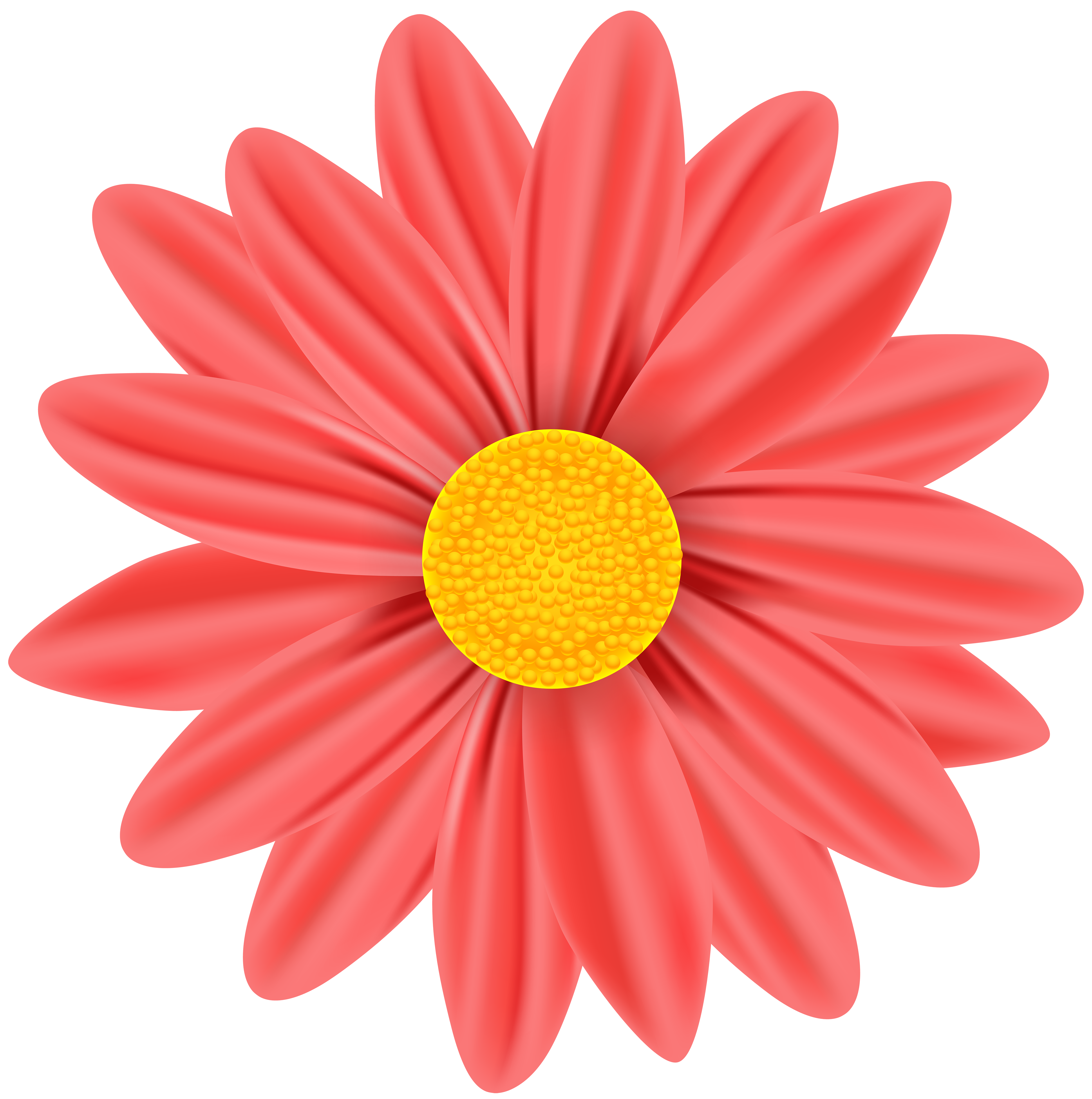 Red Daisy PNG Clip Art Image.