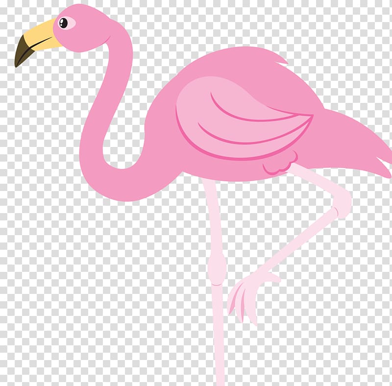 Pink flamingo illustration, Flamingo , flamingos transparent.