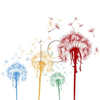 black and white dandelion clip art.