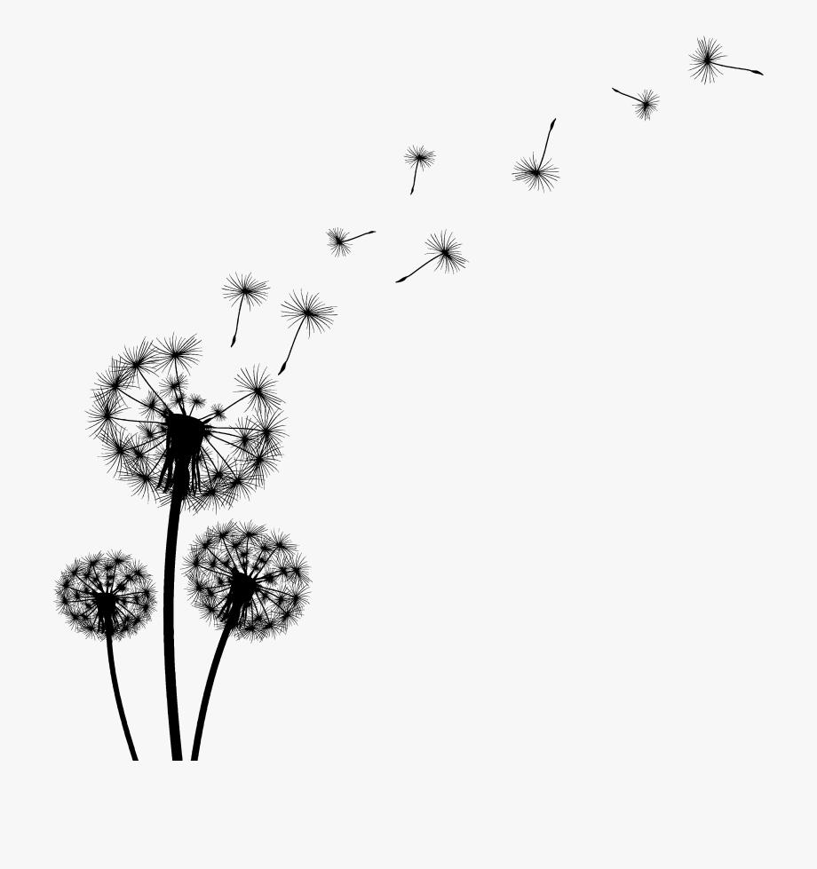 Dandelion Clipart Dead.