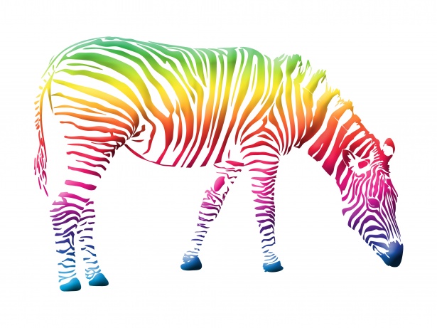 Zebra Kolorowe Clipart Darmowe zdjęcie.