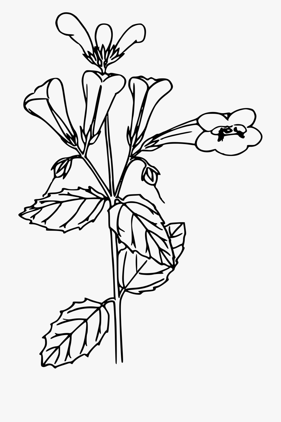 Vintage Flower Clipart Woodland Flower.