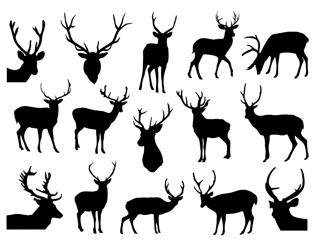 Deer In Woods Clip Art.