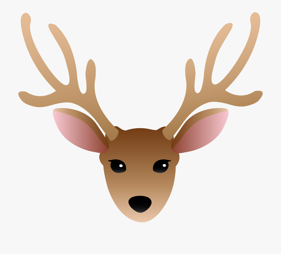 Face Of A Male Deer.