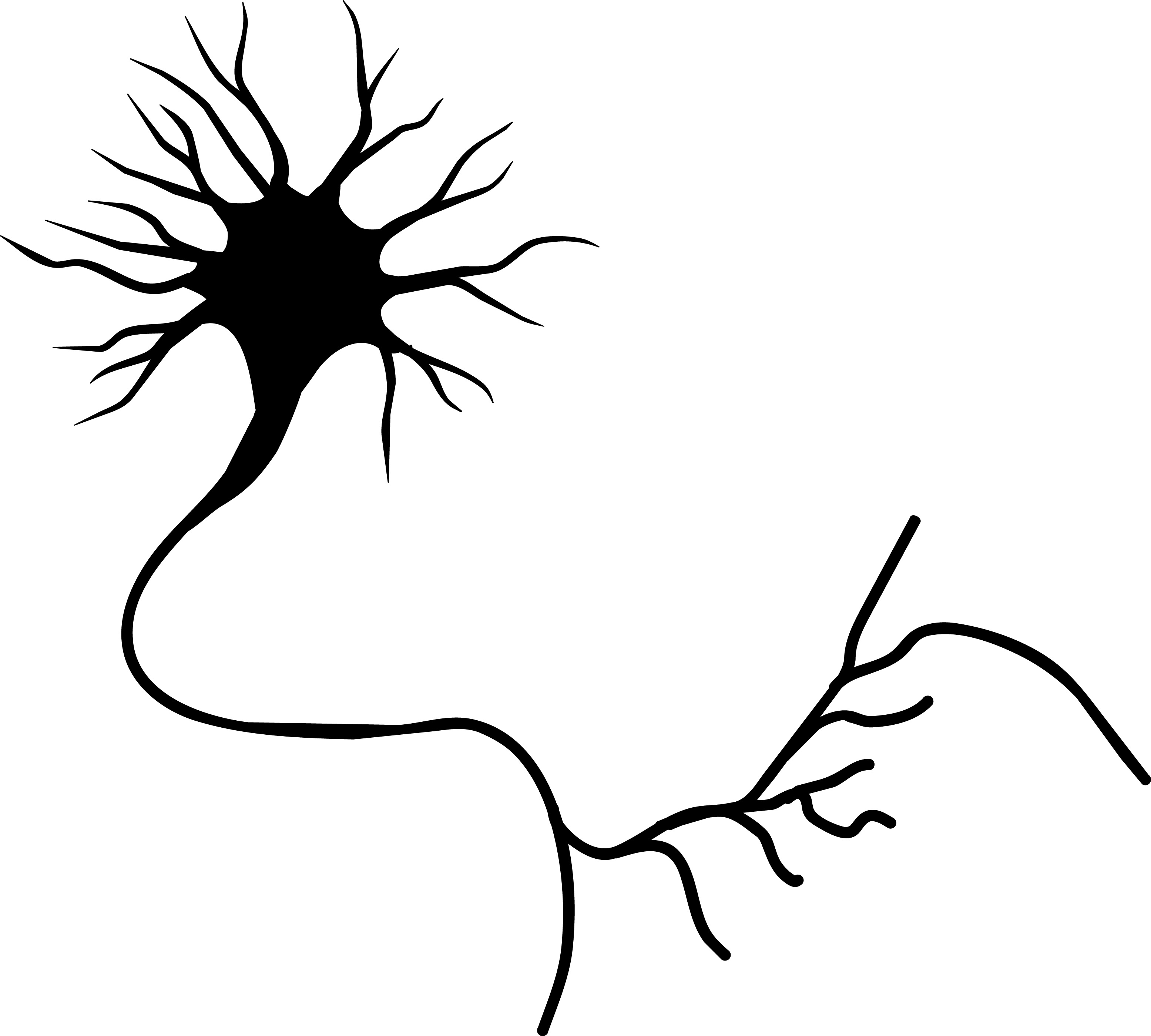 Neuron 20clipart.