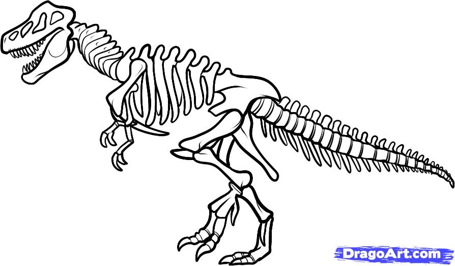 Free Dinosaur Skeleton Cliparts, Download Free Clip Art.