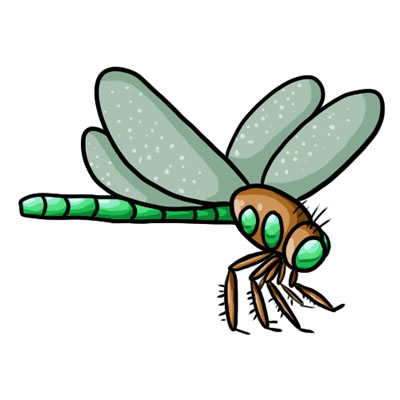 Dragonfly clipart free download free clipart images 4.