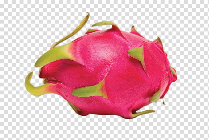 Pitaya Vietnamese cuisine Thai cuisine Fruit Guava, tropical.