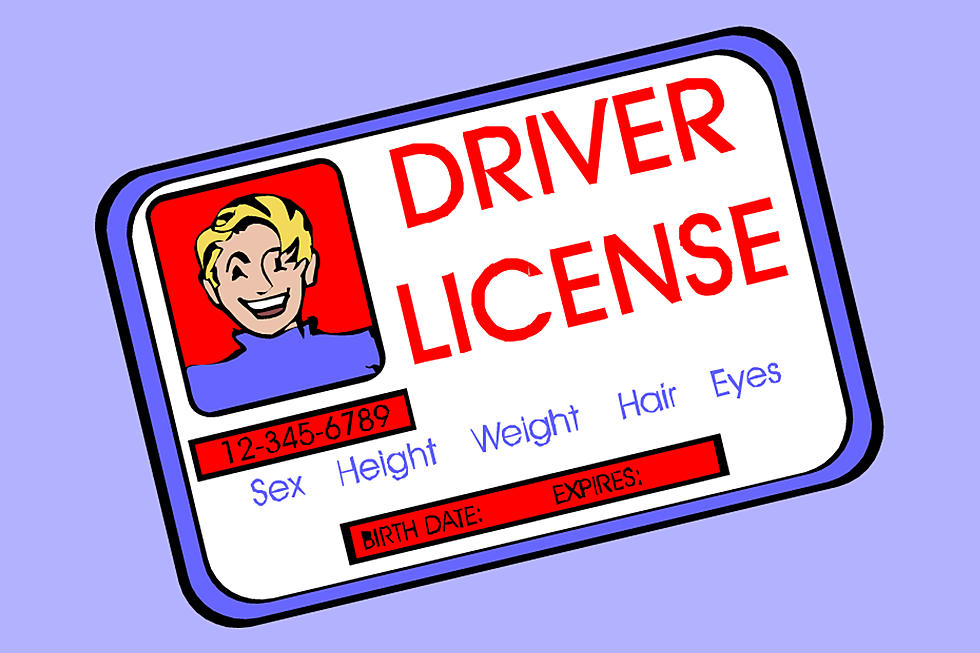 Drivers license clipart driver\'s license, Drivers license.