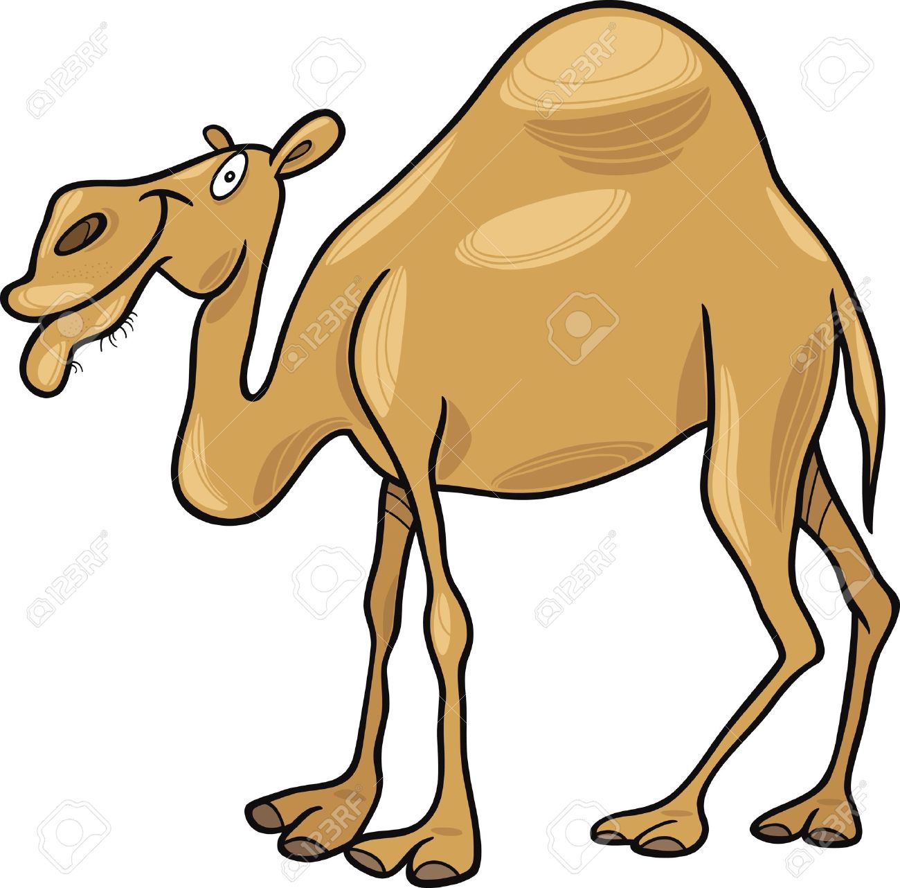 Dromedary clipart.