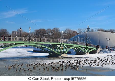 Pictures of Winter, bridge and ducks.