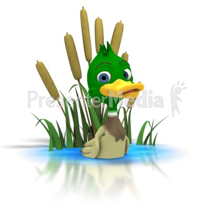 Duck Pond Clipart.