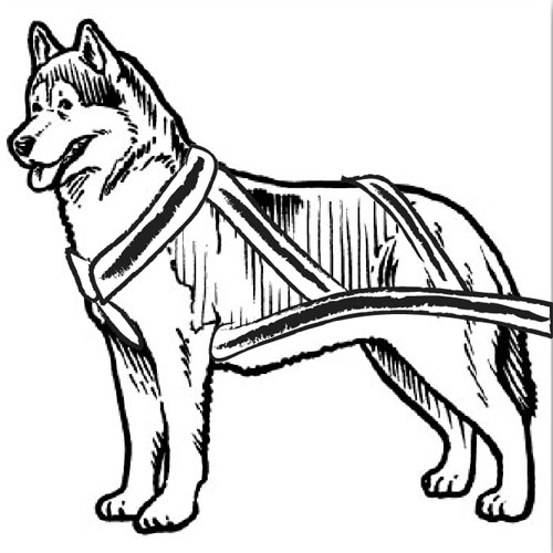 Dog Sled Clipart.