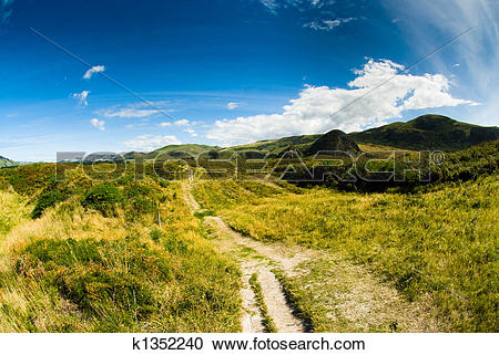 Stock Photography of rural scenery at dunedin k1352240.