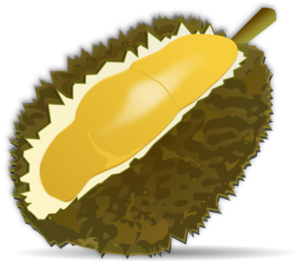 Durian Clipart.