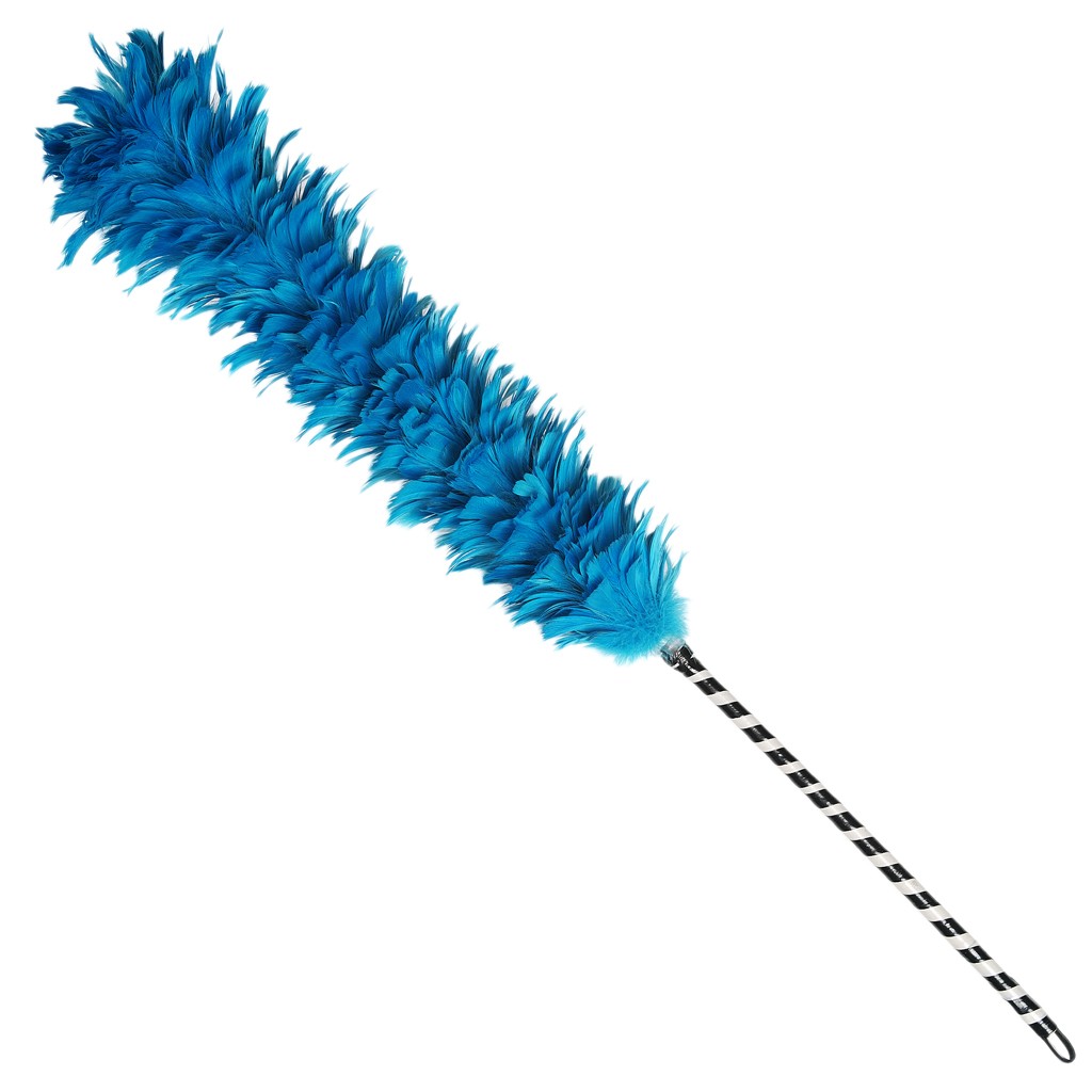 Feather duster clipart.