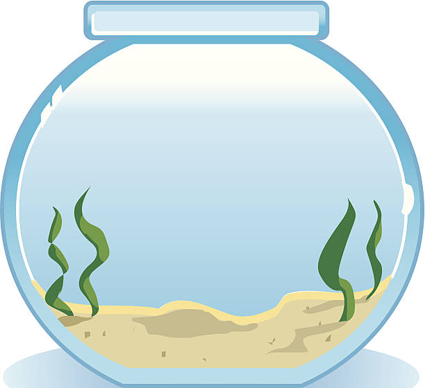 Empty Fish Tank Clipart.