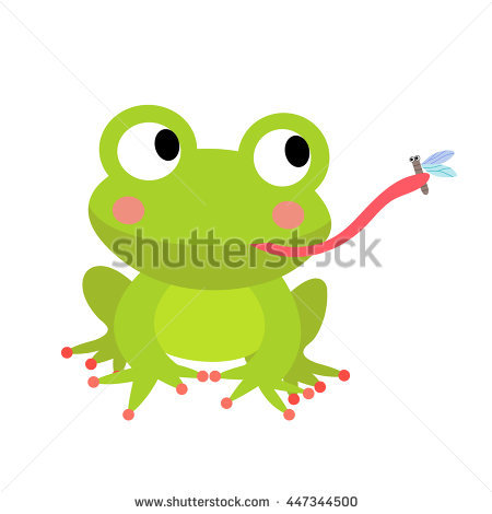 Frog Eating Fly Stock Photos, Royalty.