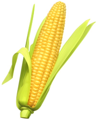 Ear Of Corn Clipart Vector, Clipart, PSD.