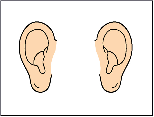 Ear Clip Art Free.