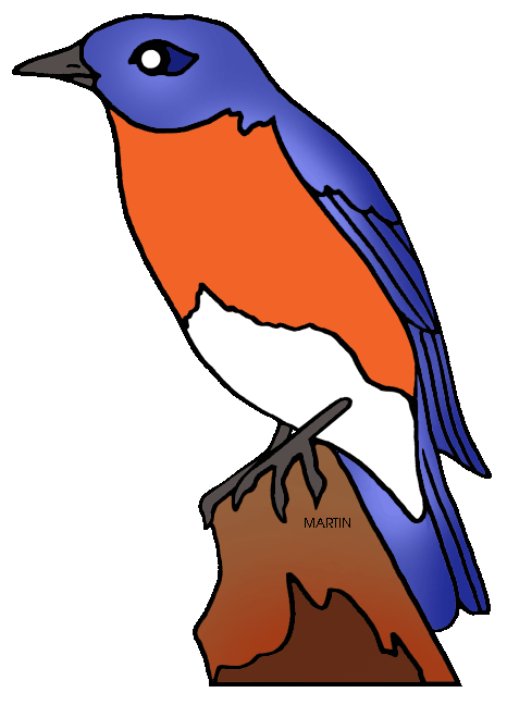 Free United States Clip Art by Phillip Martin, New York State Bird.