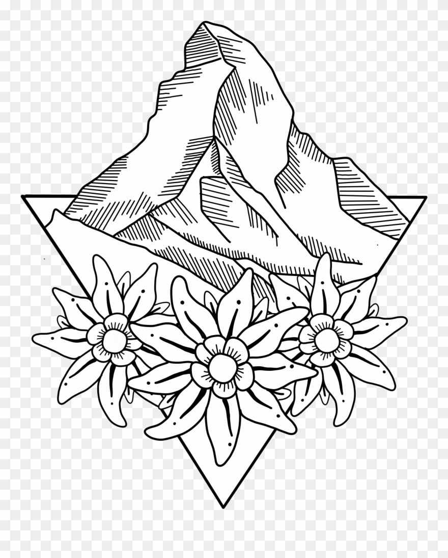 Edelweiss Flower Clip Art.