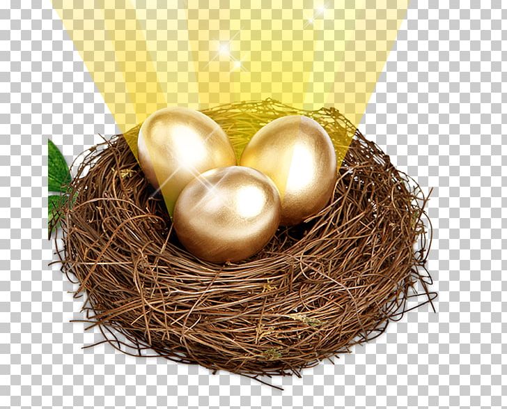 Egg Computer File PNG, Clipart, Bird Nest, Designer, Download.