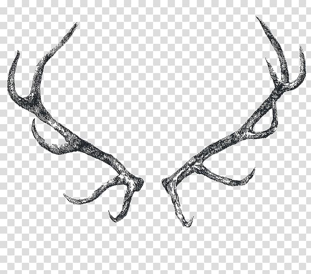 Reindeer Elk Antler Horn, Antler transparent background PNG clipart.