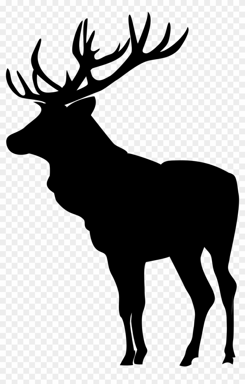 Elk Images, Elk Silhouette, Scroll Saw Patterns Free,.