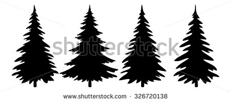 Evergreen Tree Stock Images, Royalty.