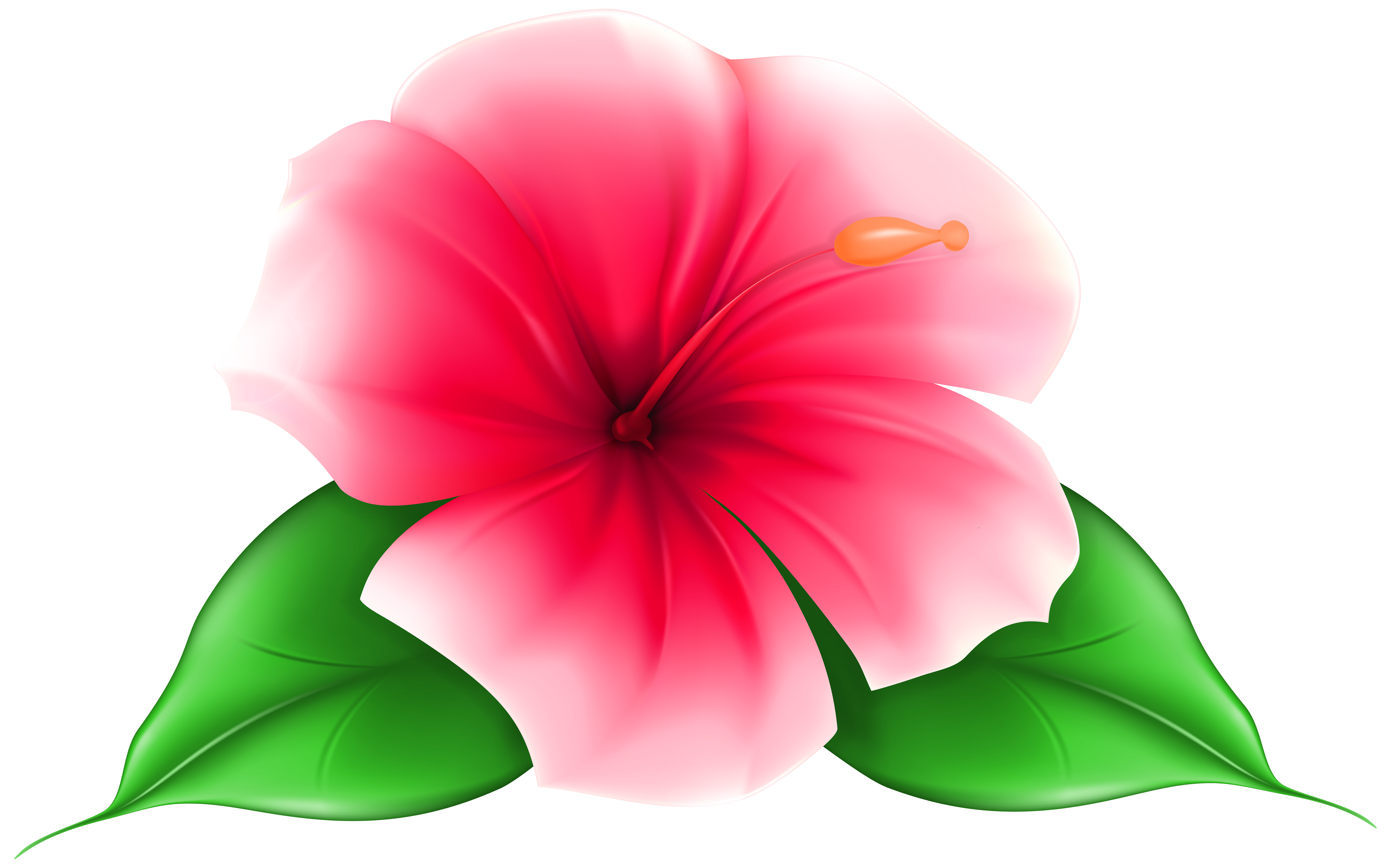 Exotic Flower PNG Clip Art Image.