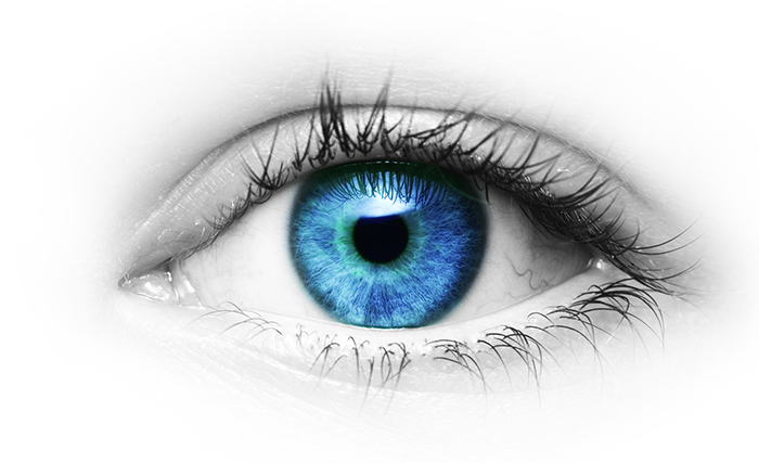 Ophthalmology PNG Images.