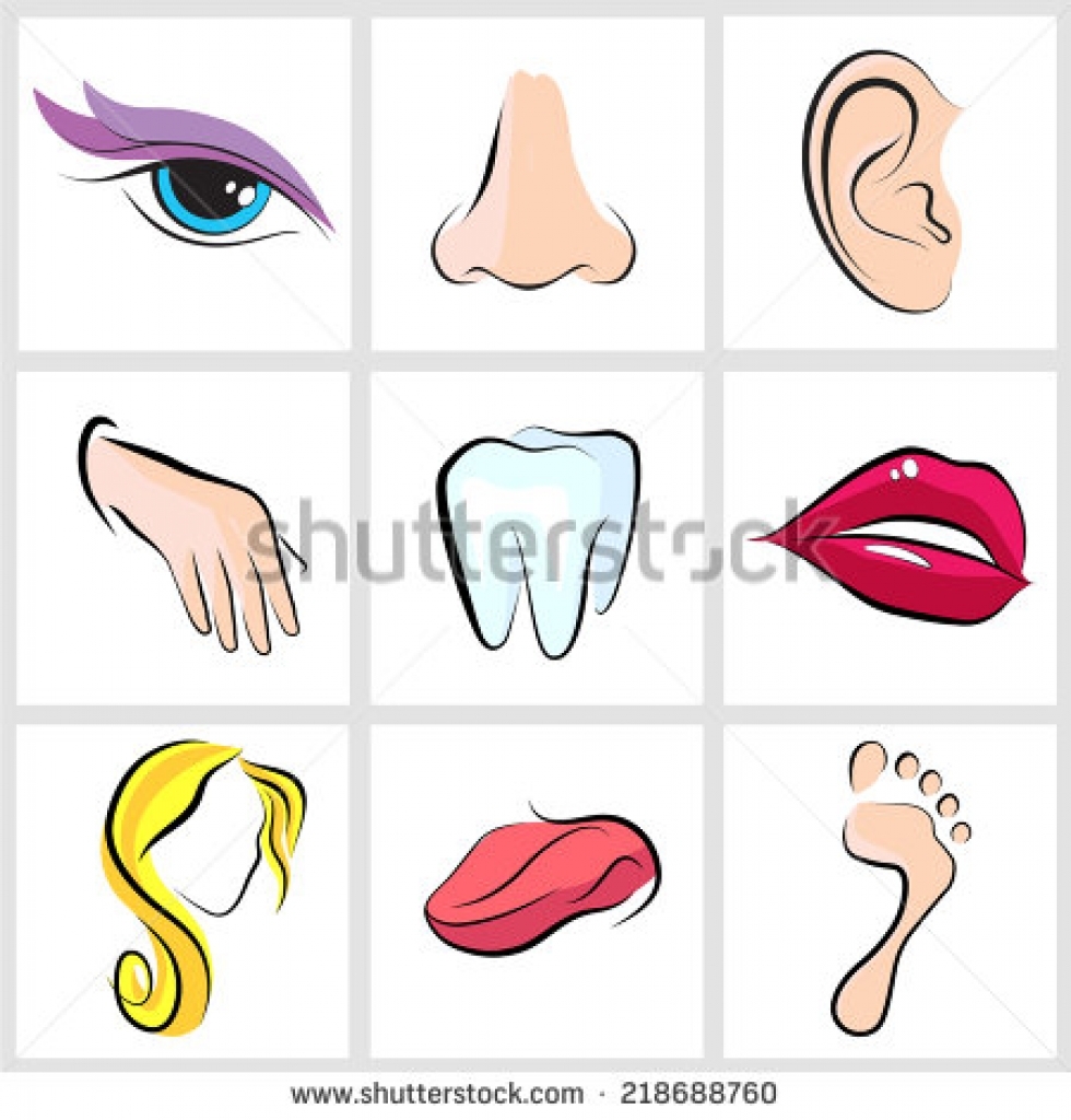 eyes ears nose clipart eyes ears nose clipart set icons with flat.