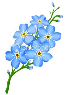 Forget Me Not Clip Art, Vector Images & Illustrations.