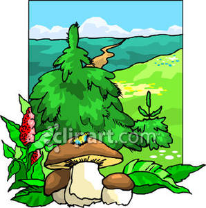 Mushroom forest clipart.