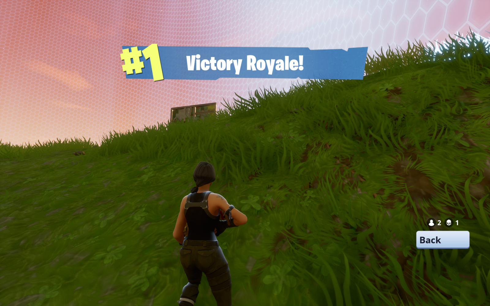 Victory Royale PNG HD #47381.