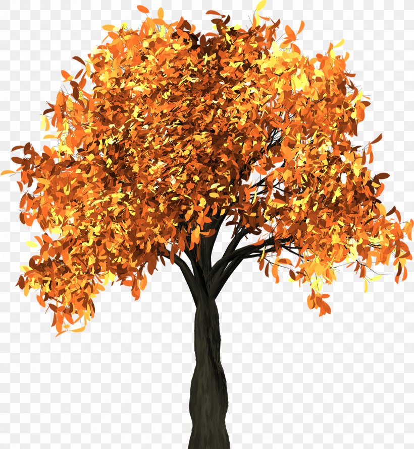 Autumn Leaf Color Tree Branch Clip Art, PNG, 1177x1280px.