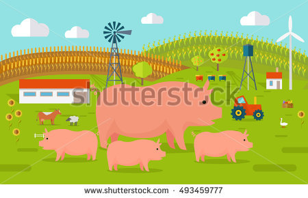 pig Farming Rural" Stock Photos, Royalty.