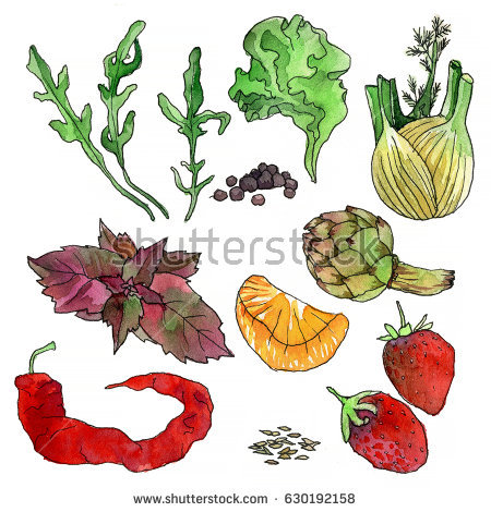 Fennel Stock Images, Royalty.