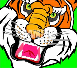 Ferocious Tiger Clipart.