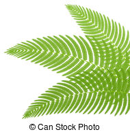 Fern Illustrations and Clip Art. 3,233 Fern royalty free.