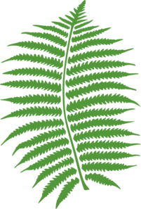 Fern Leaf Clip Art at Clker.com.