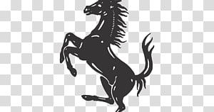 Prancing Horse transparent background PNG cliparts free.