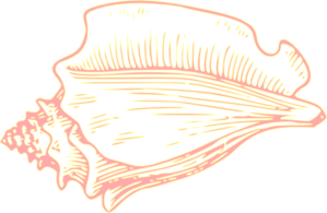 conch shell clip art.